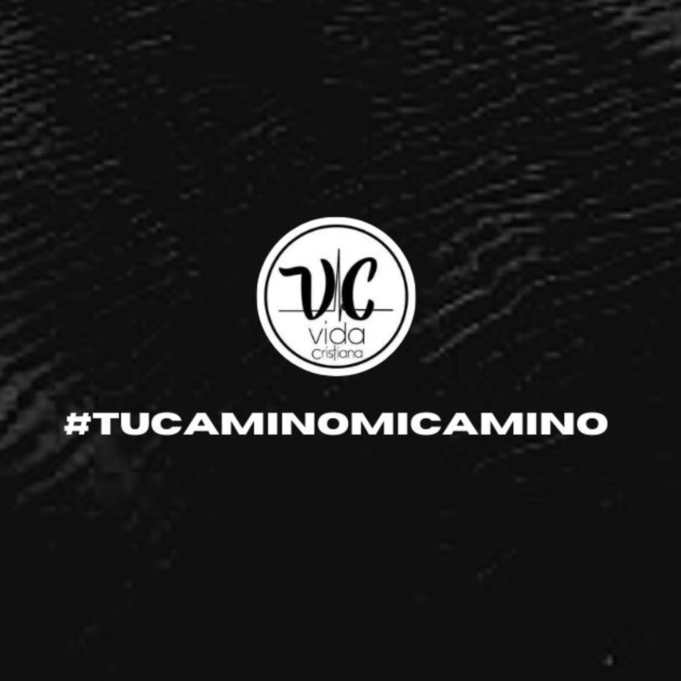Vida Cristiana Puebla