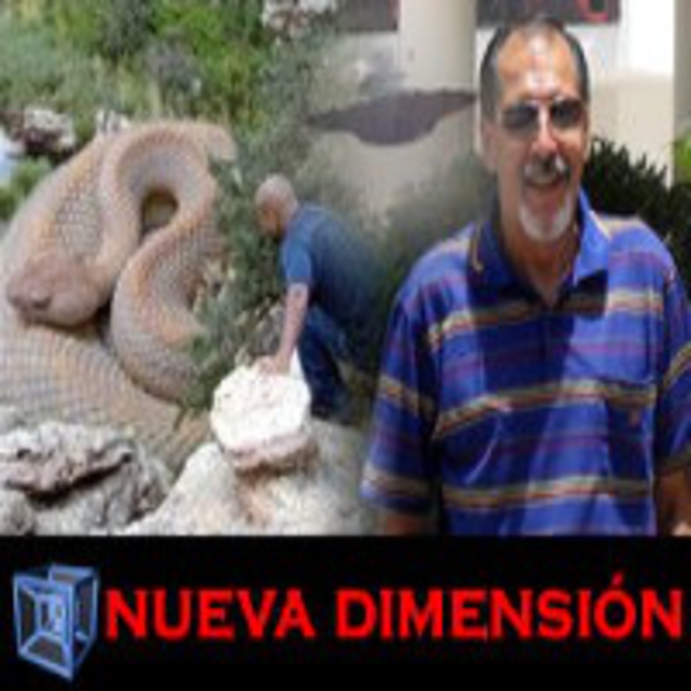 NUEVA DIMENSIÓN