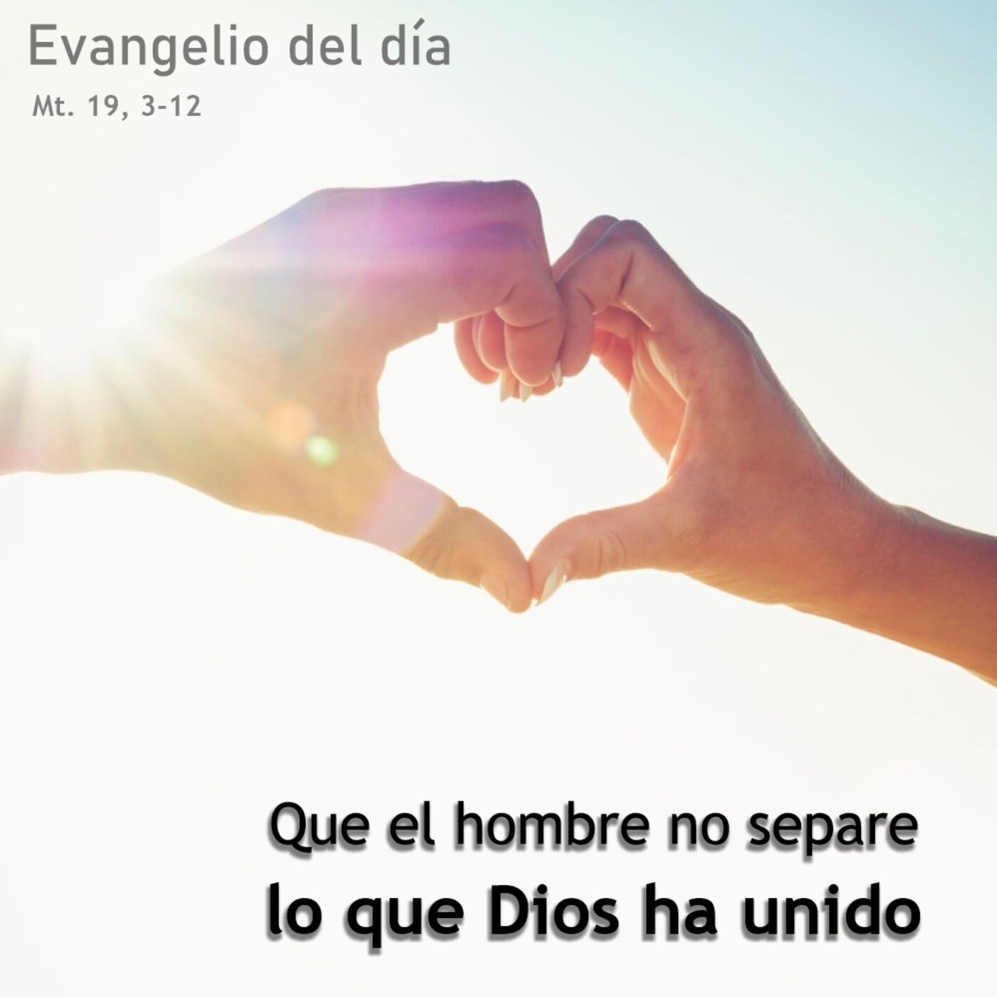 14 de agosto de 2020