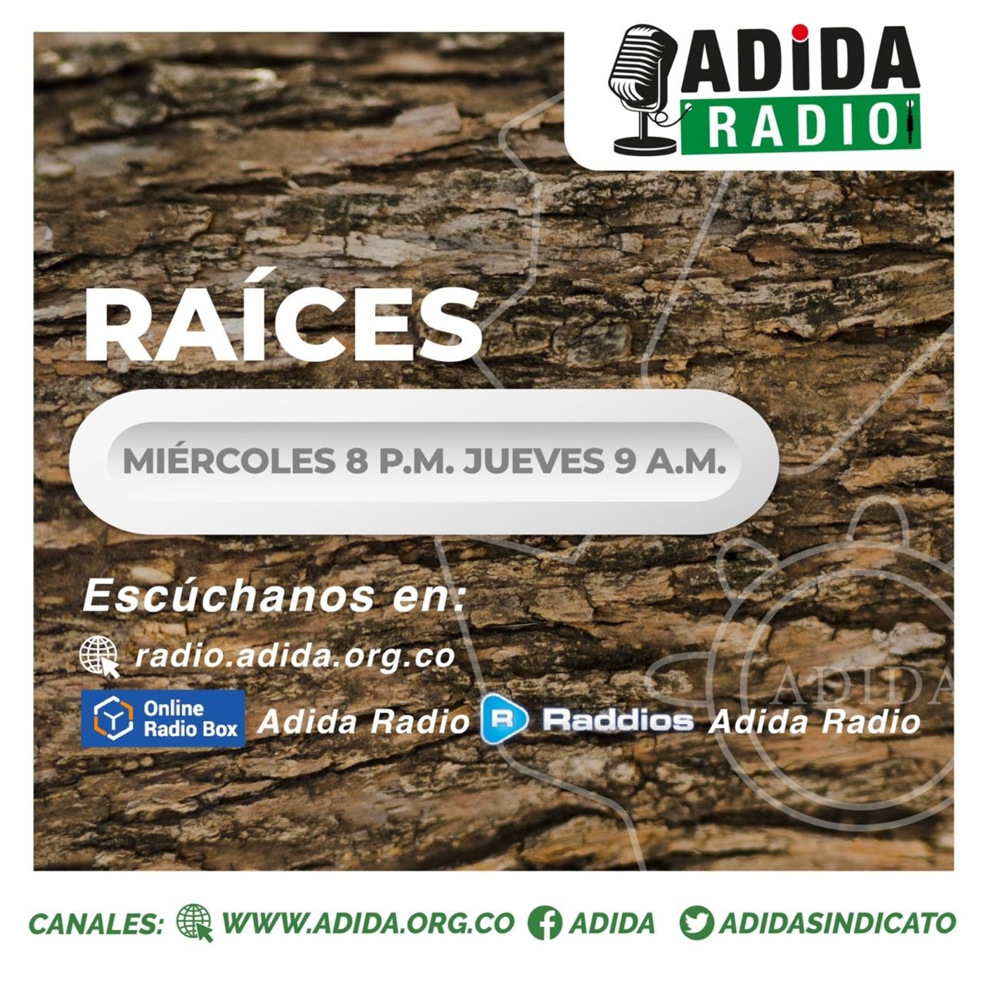 RAÍCES