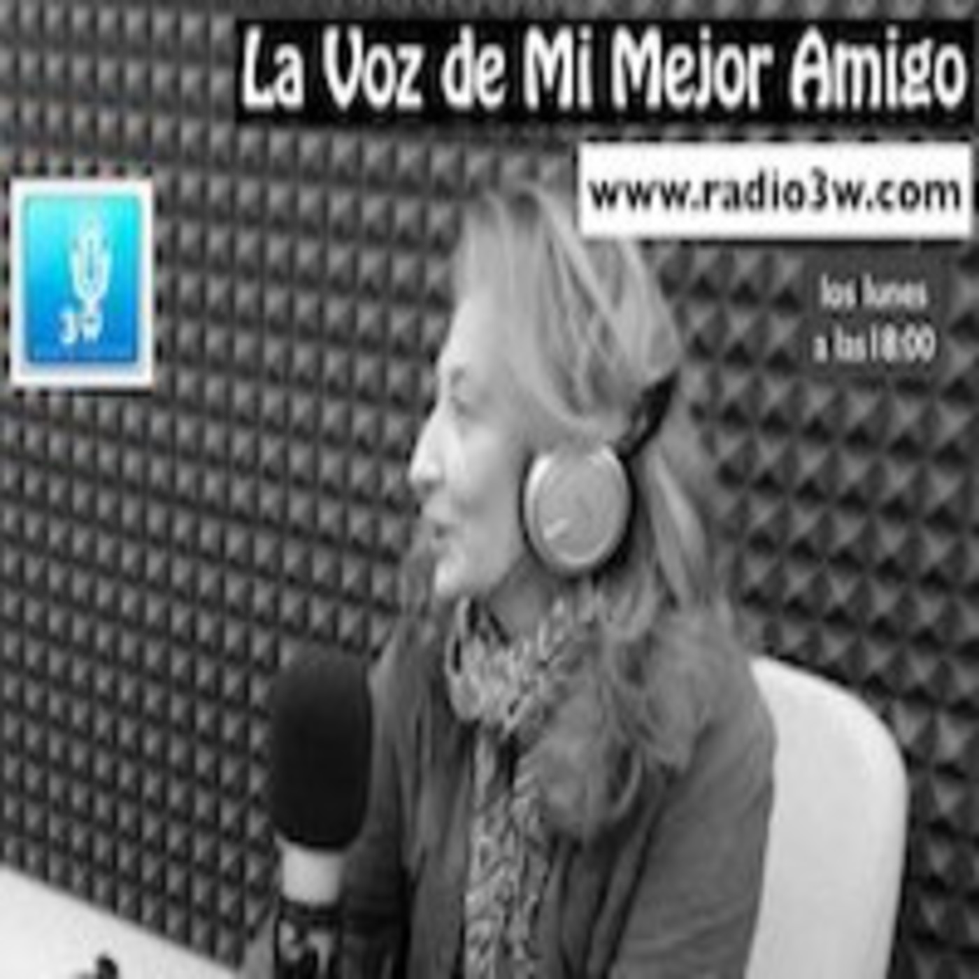 Alimentacion equina - Radio3w