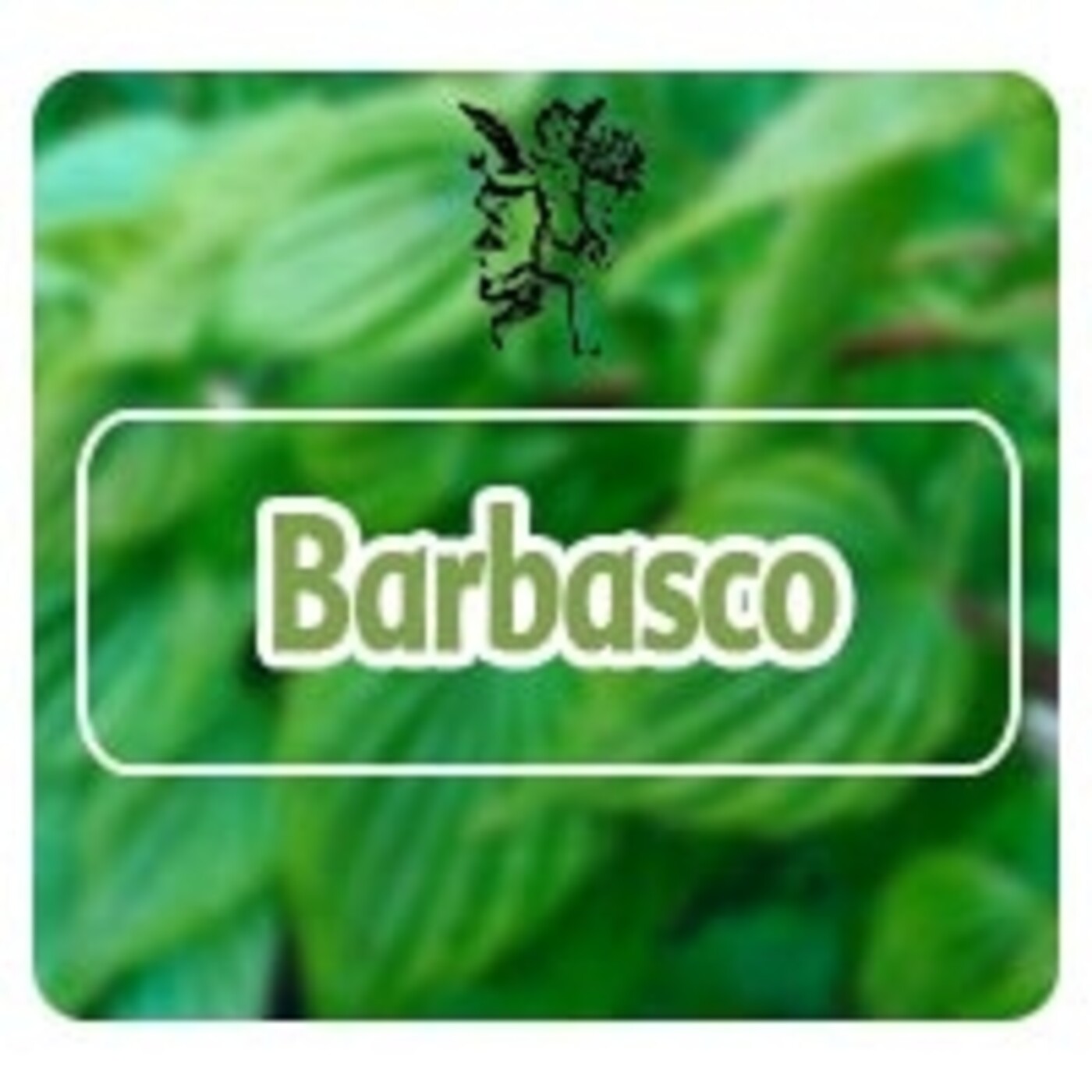 El Angel de tu Salud - BARBASCO* episode artwork