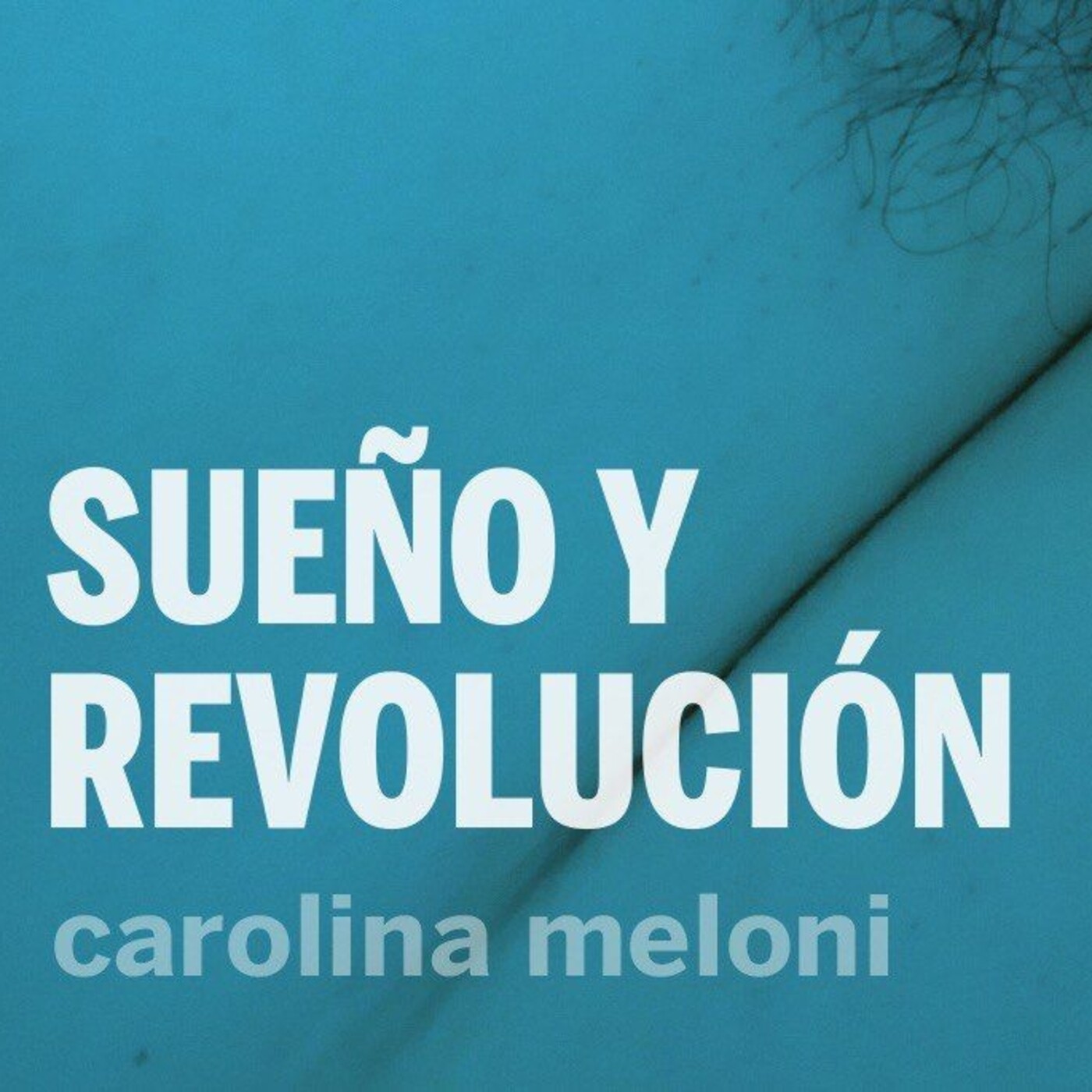 SueÑo y revoluciÓn con carolina meloni