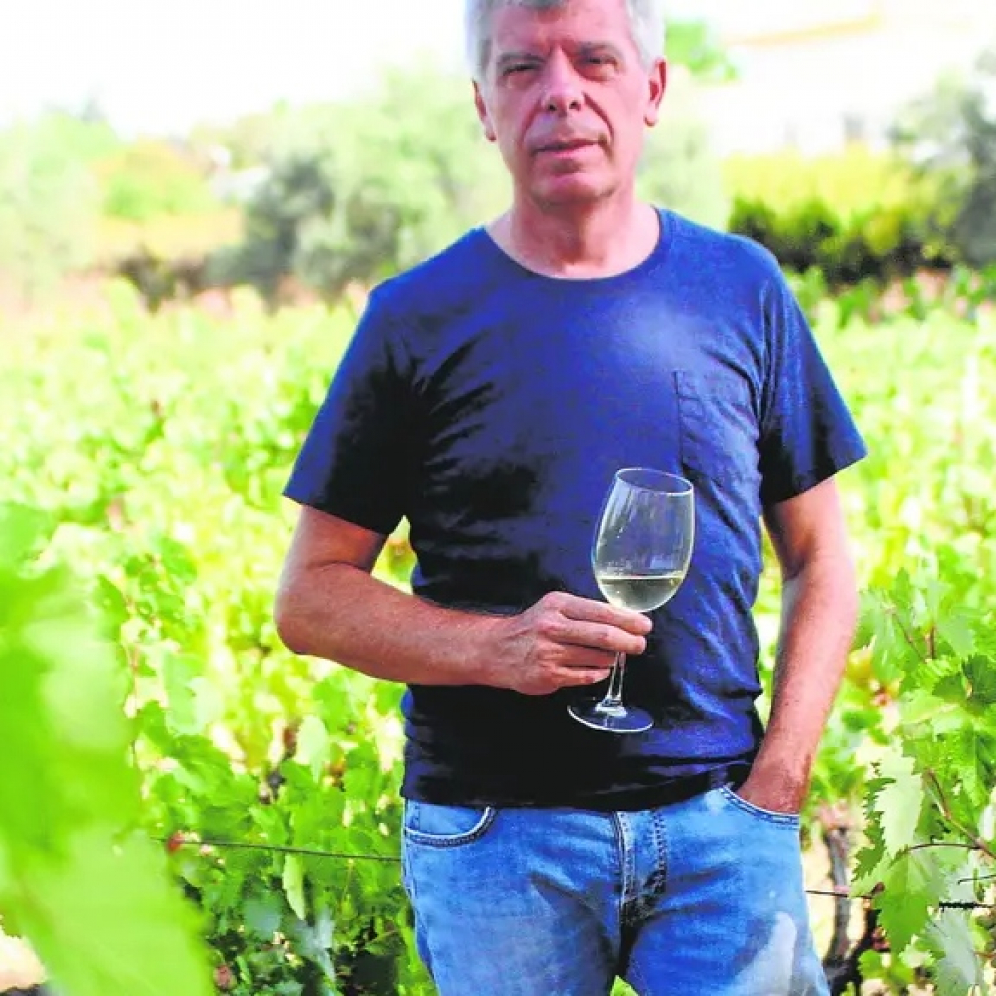 Bodegas Robles