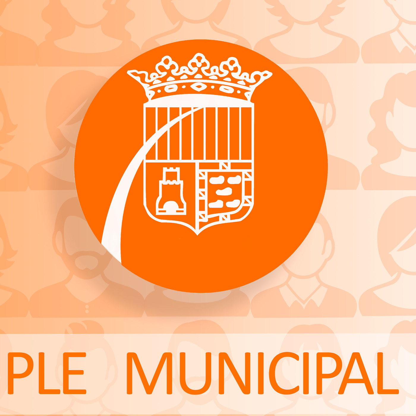 Ple municipal de febrer 2019. Sense talls episode artwork