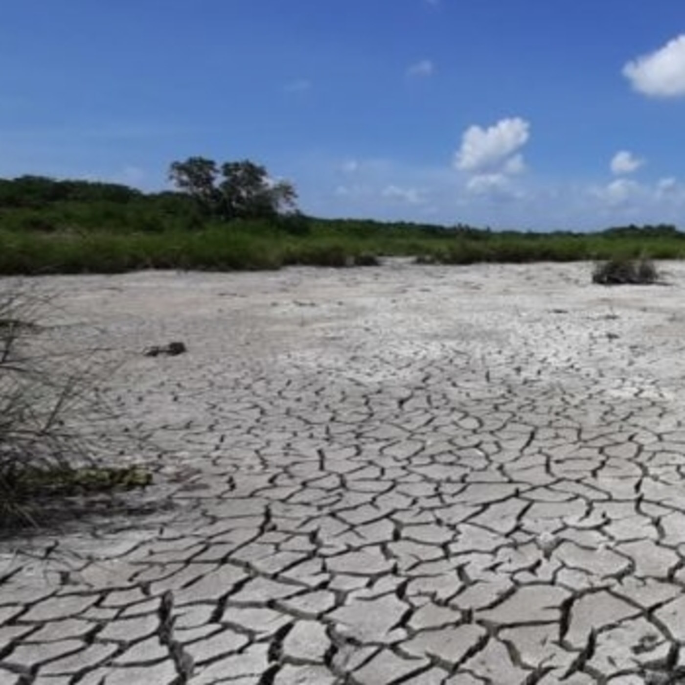 Taller de Podcast sobre el Cambio Climático