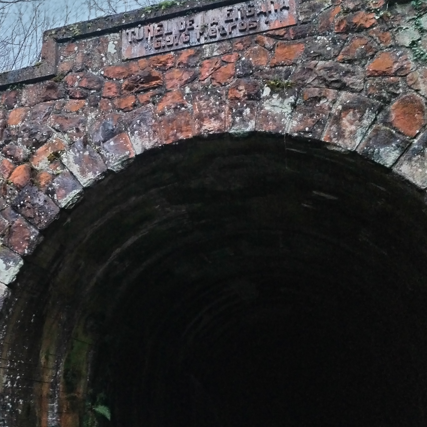 El Caminante del Misterio