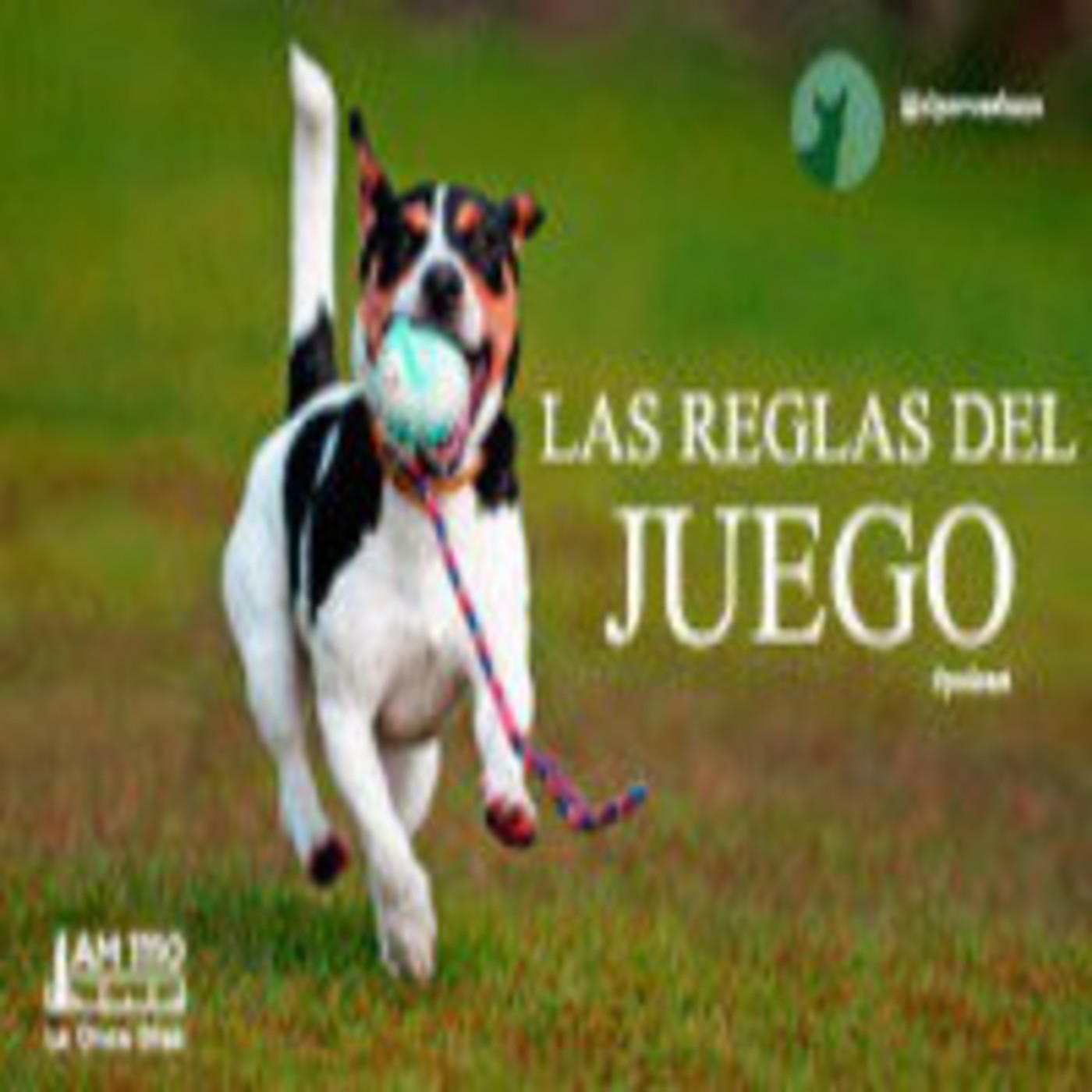 El perro urbano en laoncediez