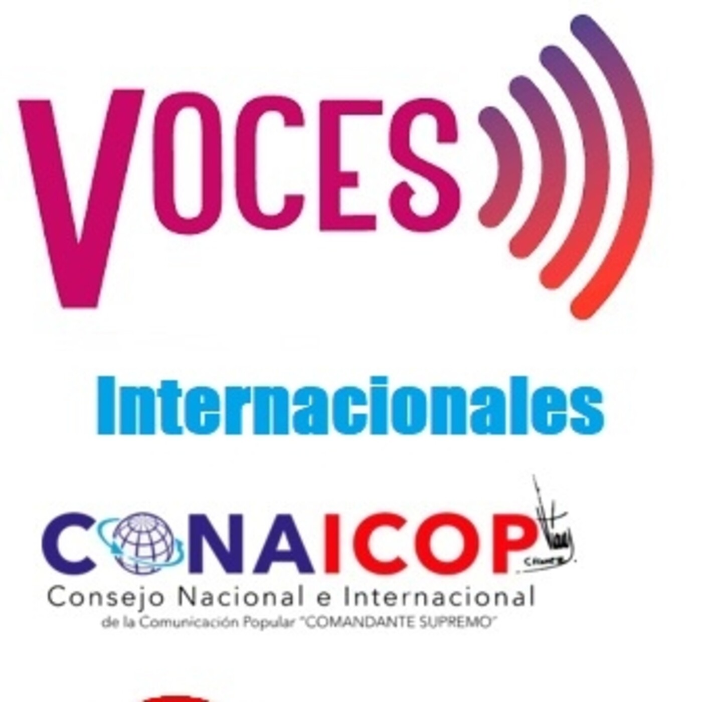 Concejo Nacional e Internacional  Comunicacion Int