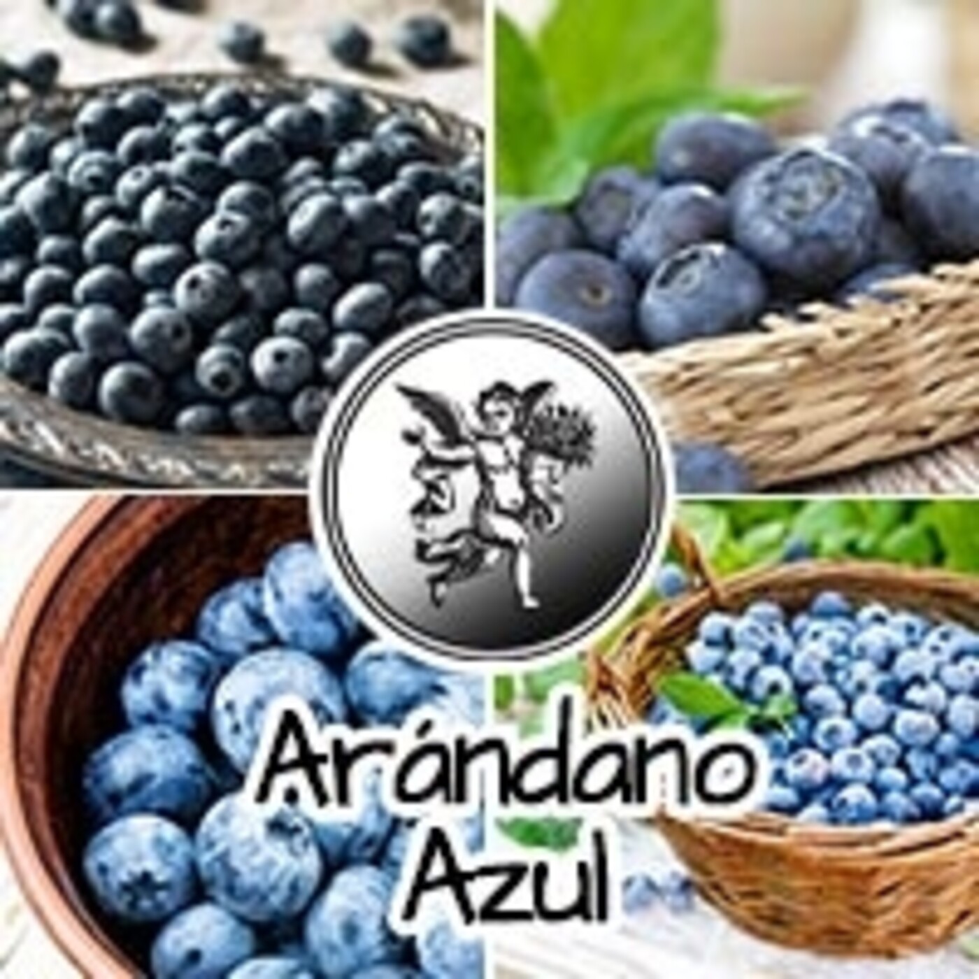 El Angel de tu Salud - ARÁNDANO AZUL* episode artwork
