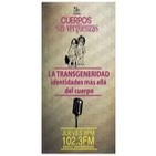 La transgeneridad, identidades más allá del cuerpo
