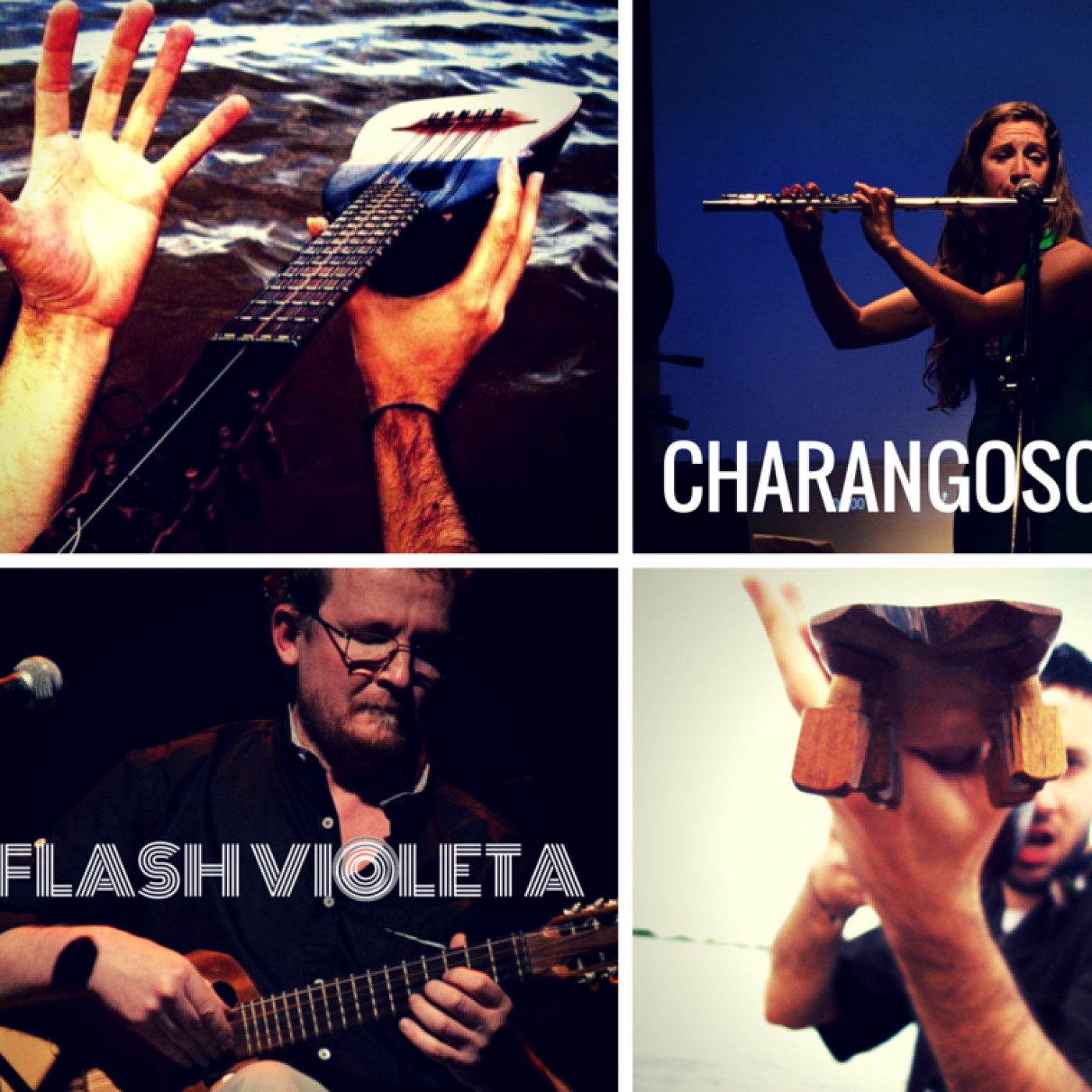 Charangoscopio