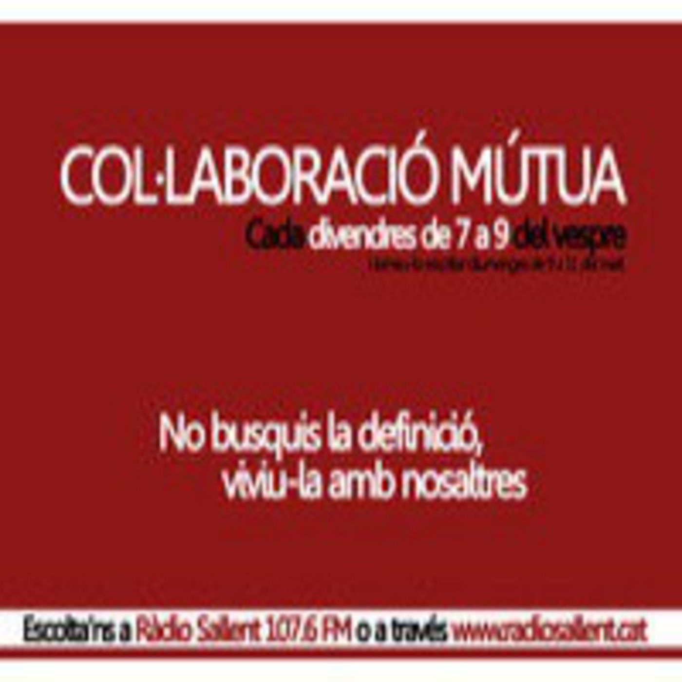 Col·laboració Mútua (9-5-14) Entrevista a DeuDeVeu i plataforma Salvem el Teatre Conservatori episode artwork