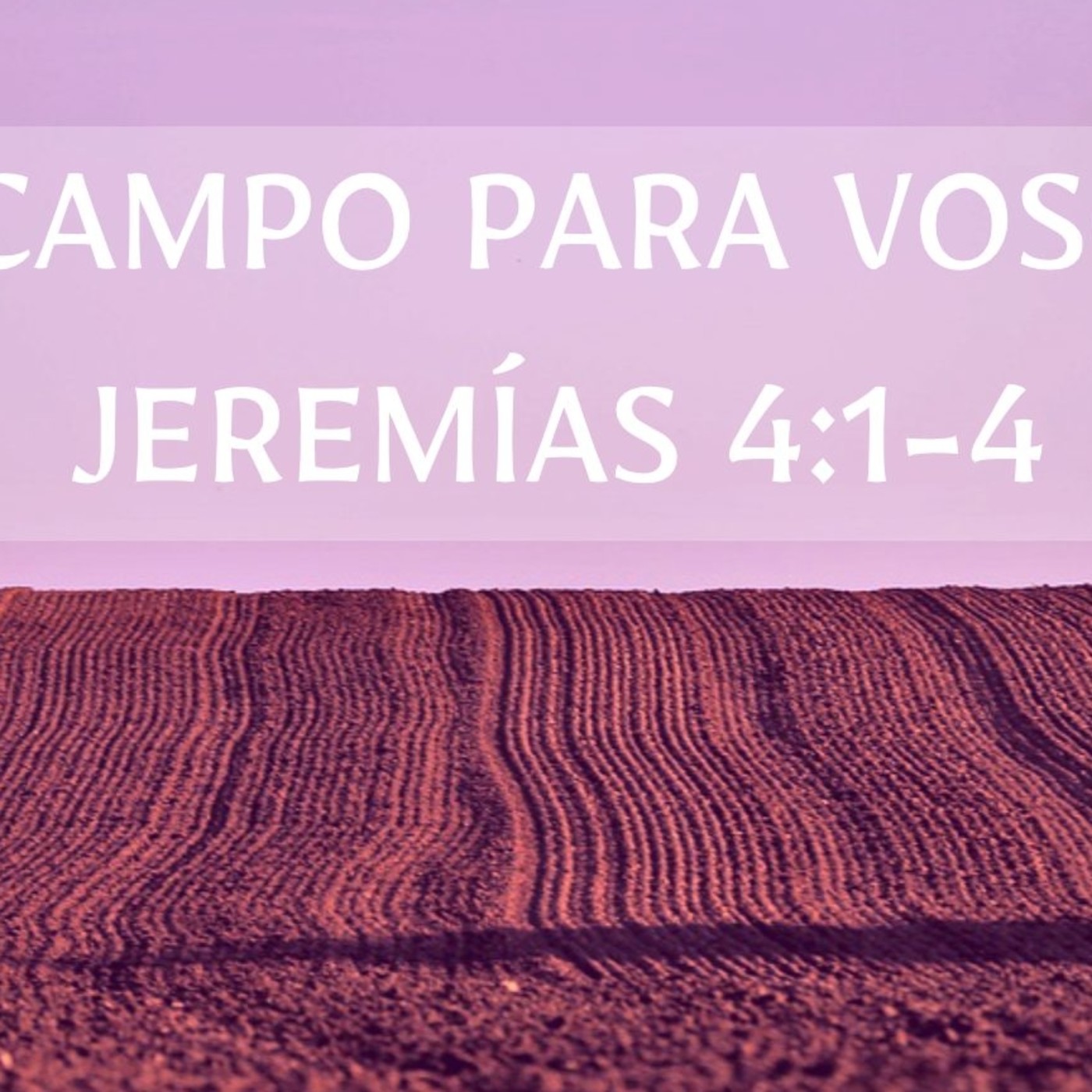 Arad Campo para Vosotros episode artwork