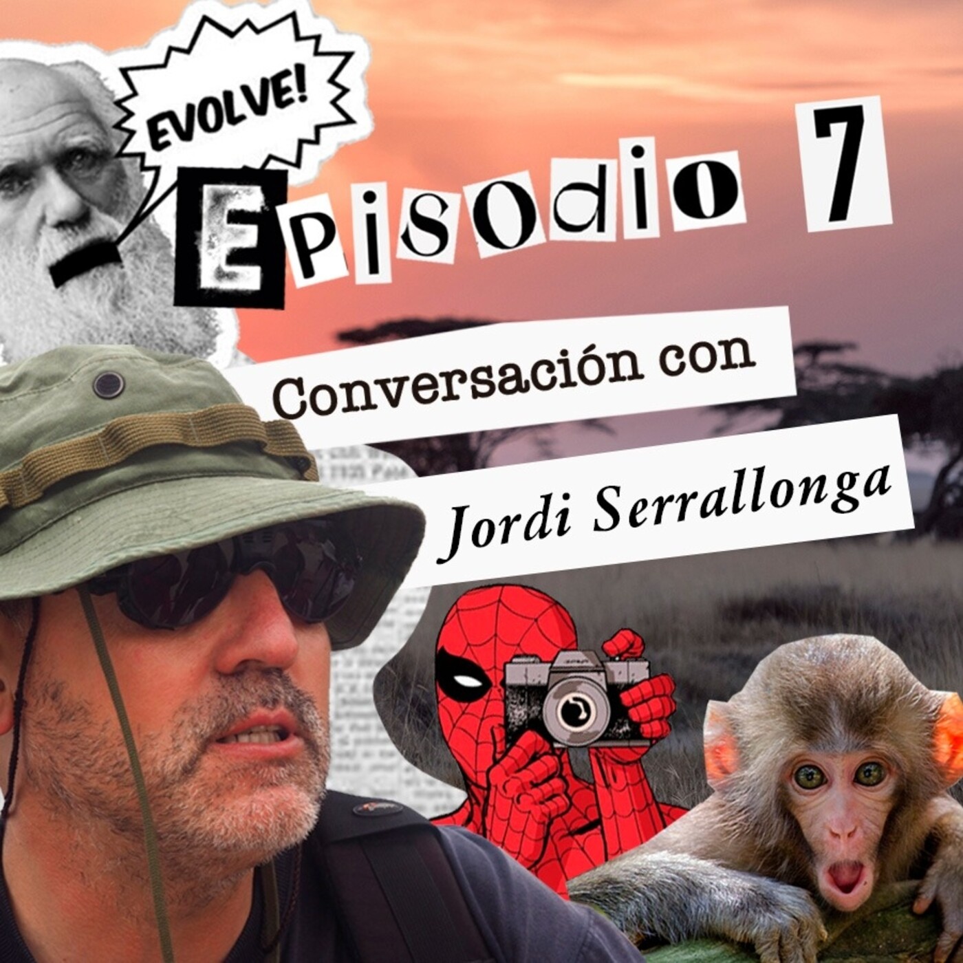 Desviajar
