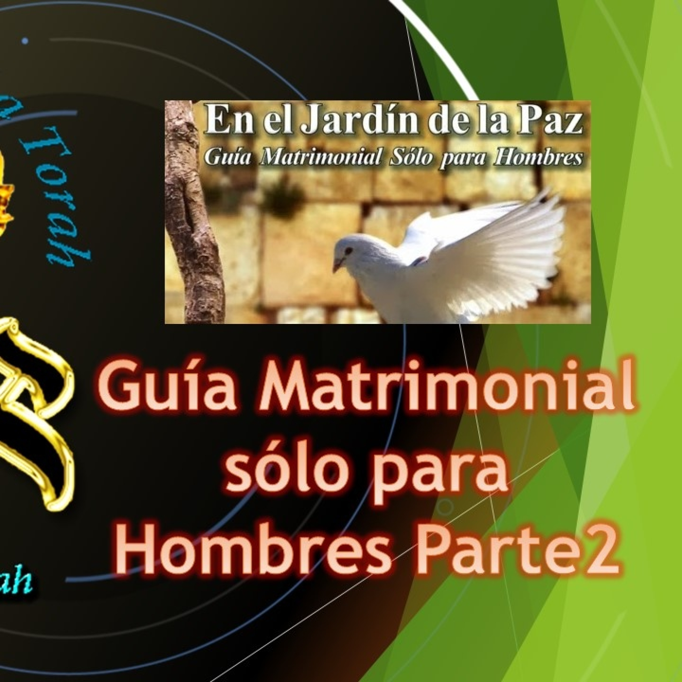 Guía Matrimonial sólo para Hombres Parte2 episode artwork