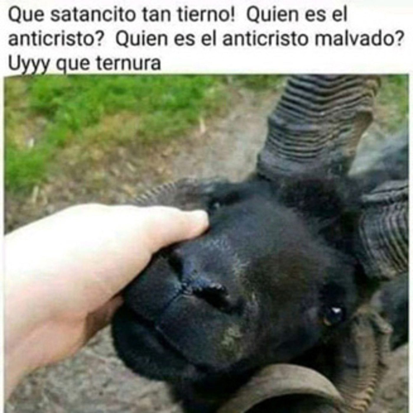 La Naranja Metálica