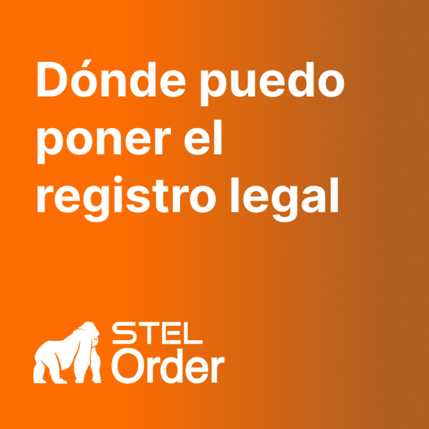 Ayuda y Soporte STEL Order