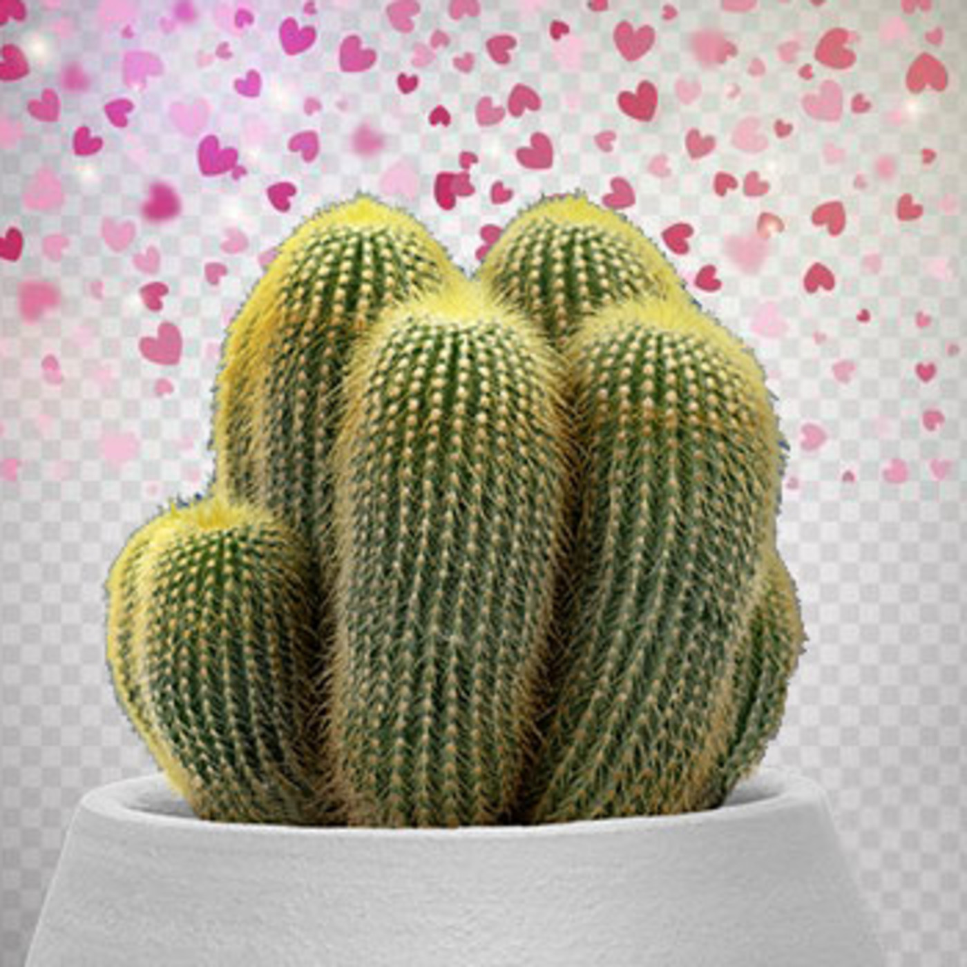 Cactus Confetti