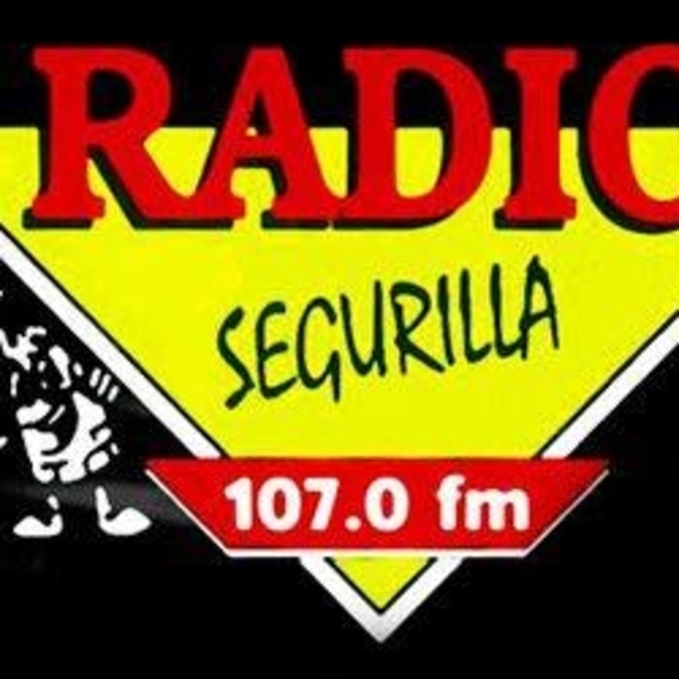 RETRANSMISIONES DEPORTIVAS