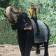 Te Gusta Viajar? - Rudy Carpinteyro