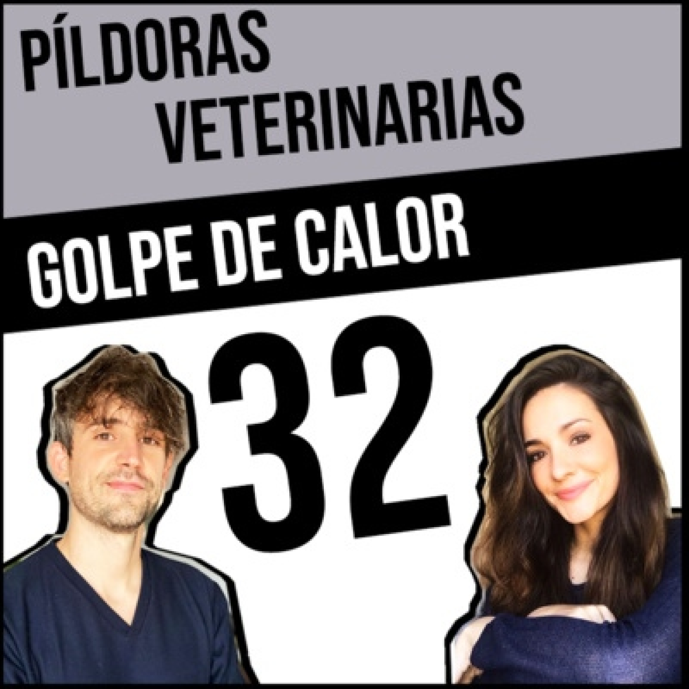Píldoras Veterinarias