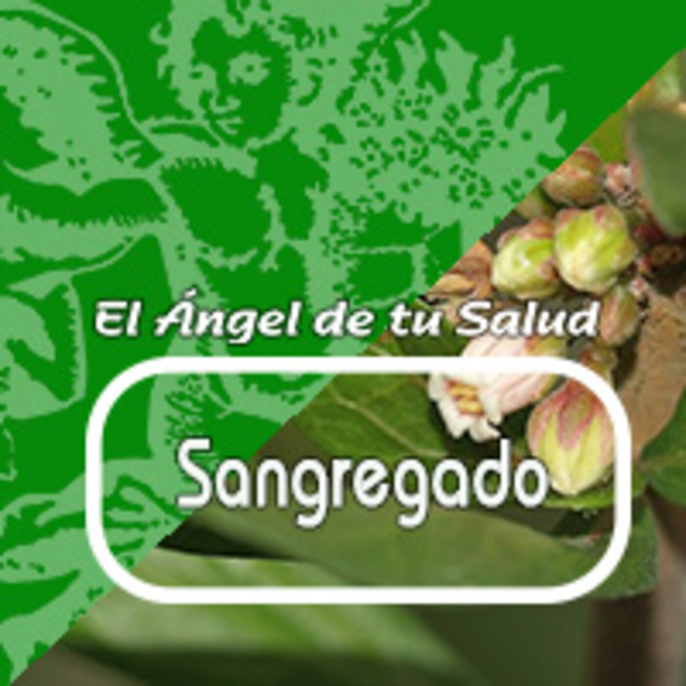 El Angel de tu Salud - SANGREGADO***