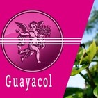 El Angel de tu Salud - GUAYACOL