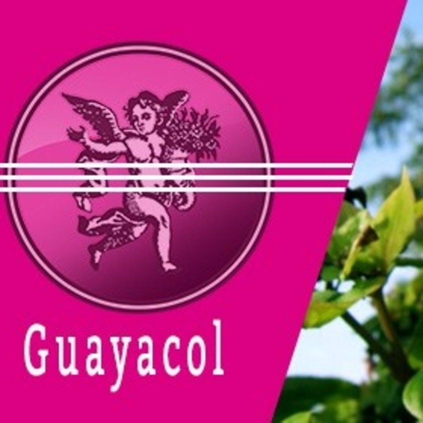 El Angel de tu Salud - GUAYACOL episode artwork