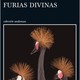 Furias divinas 6
