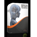 Balance your brain hemispheres