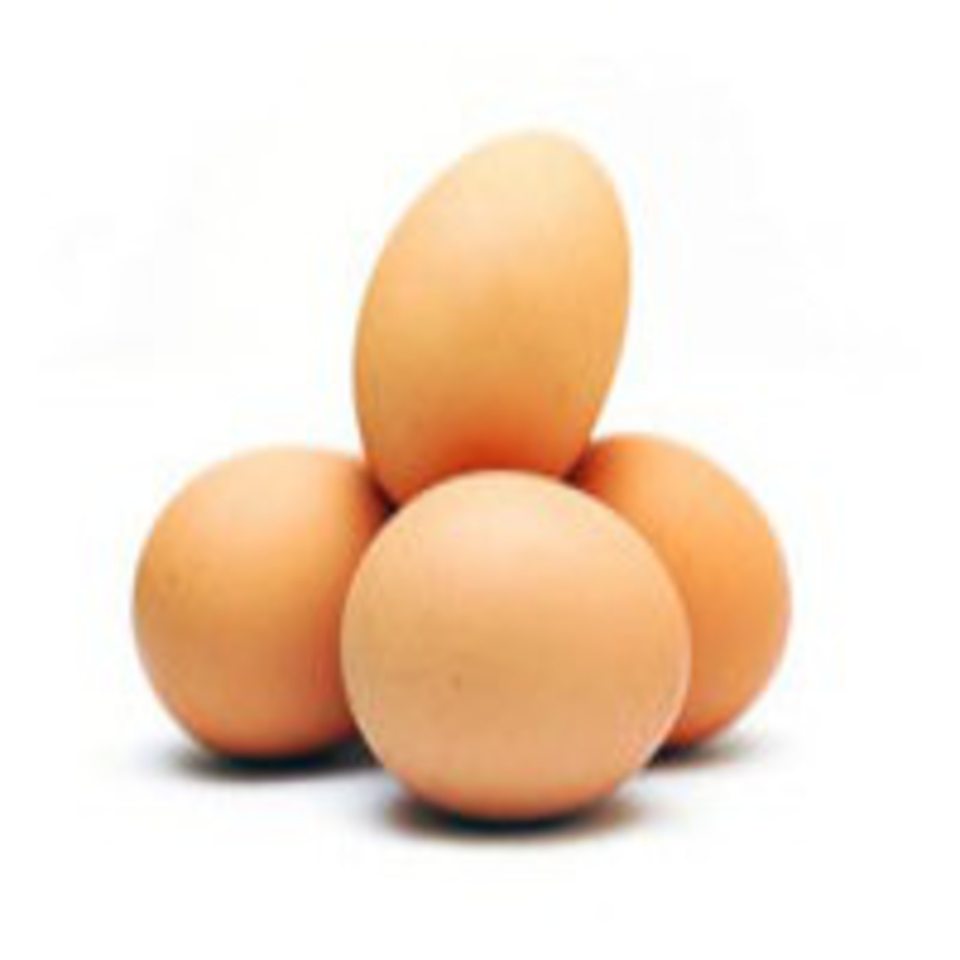 The chicken came before the egg episode artwork