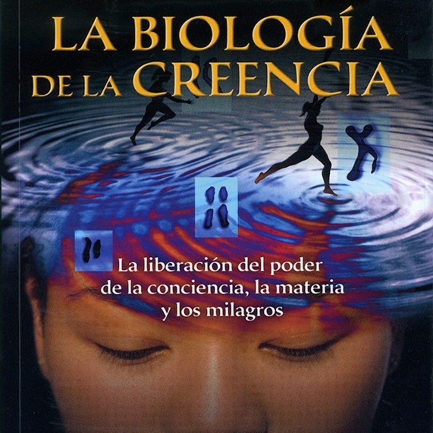 Salvador Mingo -Conocimiento Experto-
