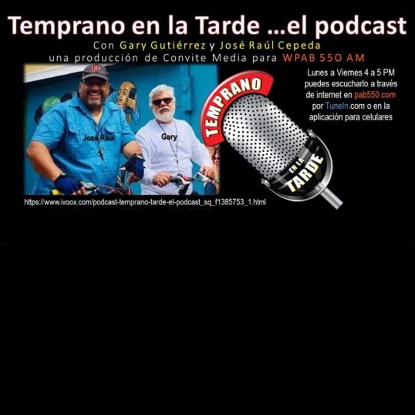 Entre foros sobre alternativas para gobernancias y las luchas en la calle contra LUMA episode artwork