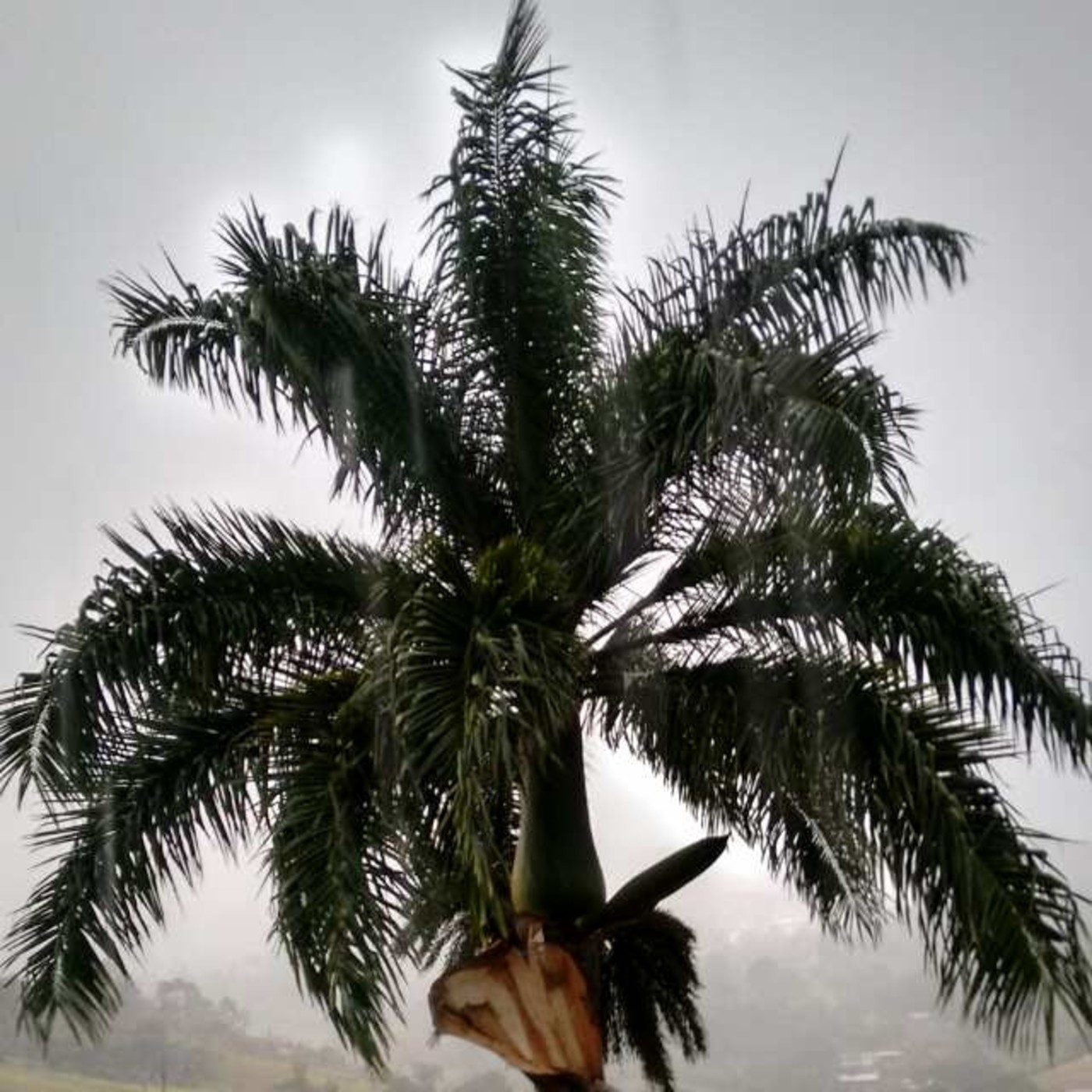 Día de la Tierra