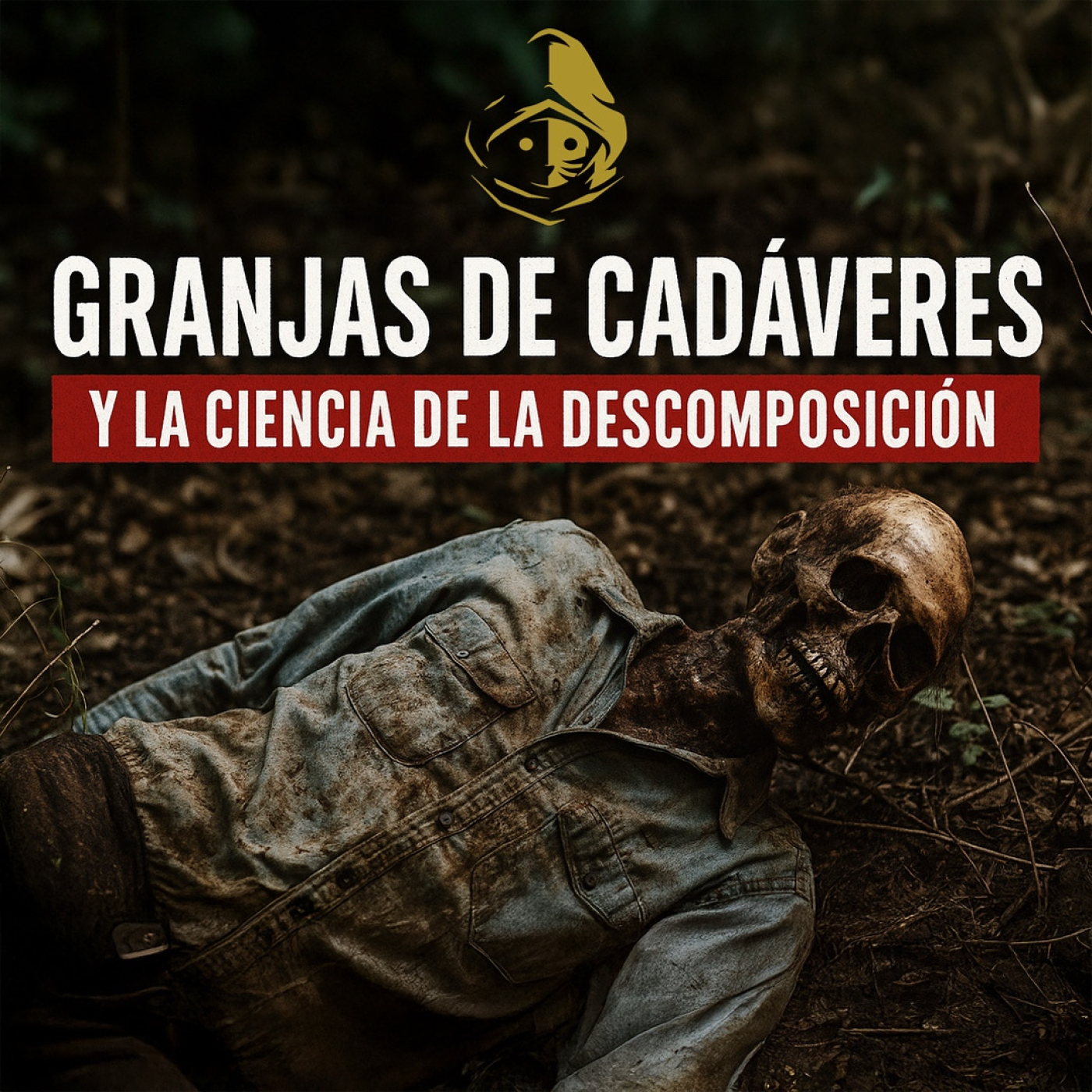 El Rincón del Disidente