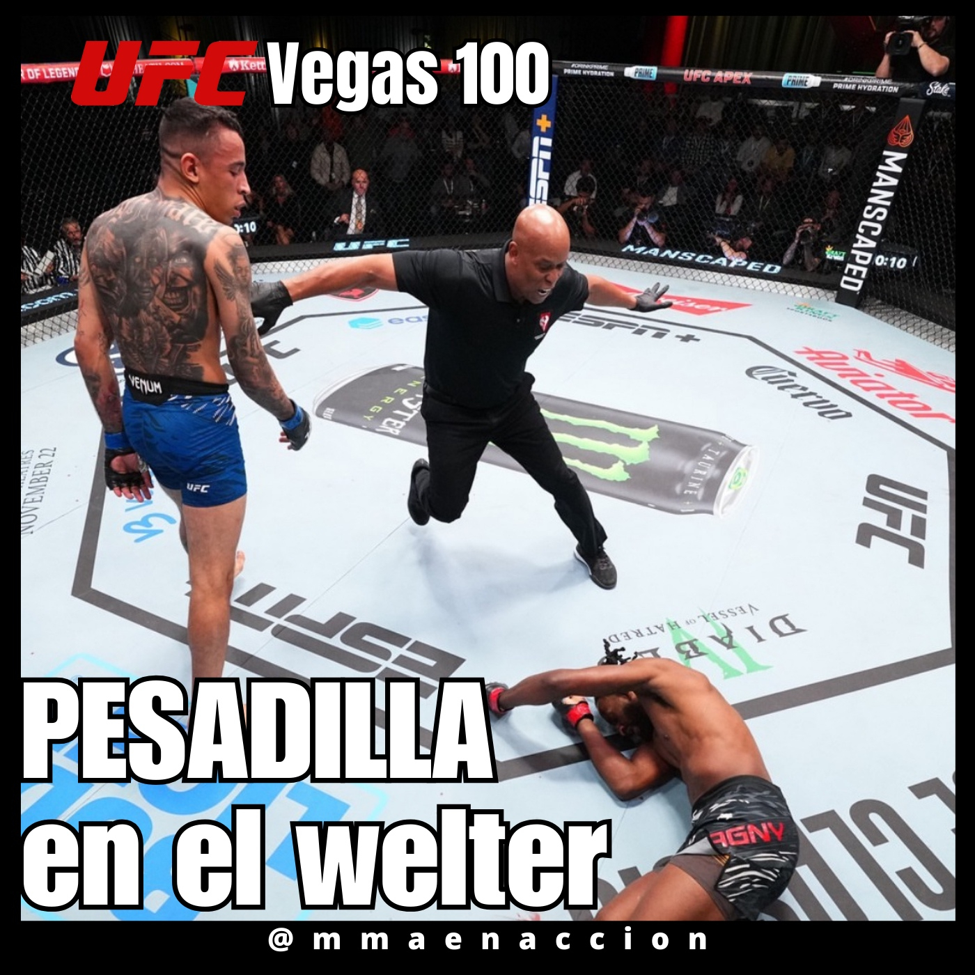 MMA en acción