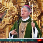 embed image