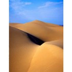 VIENTOS DEL DESIERTO (brainwavelab)