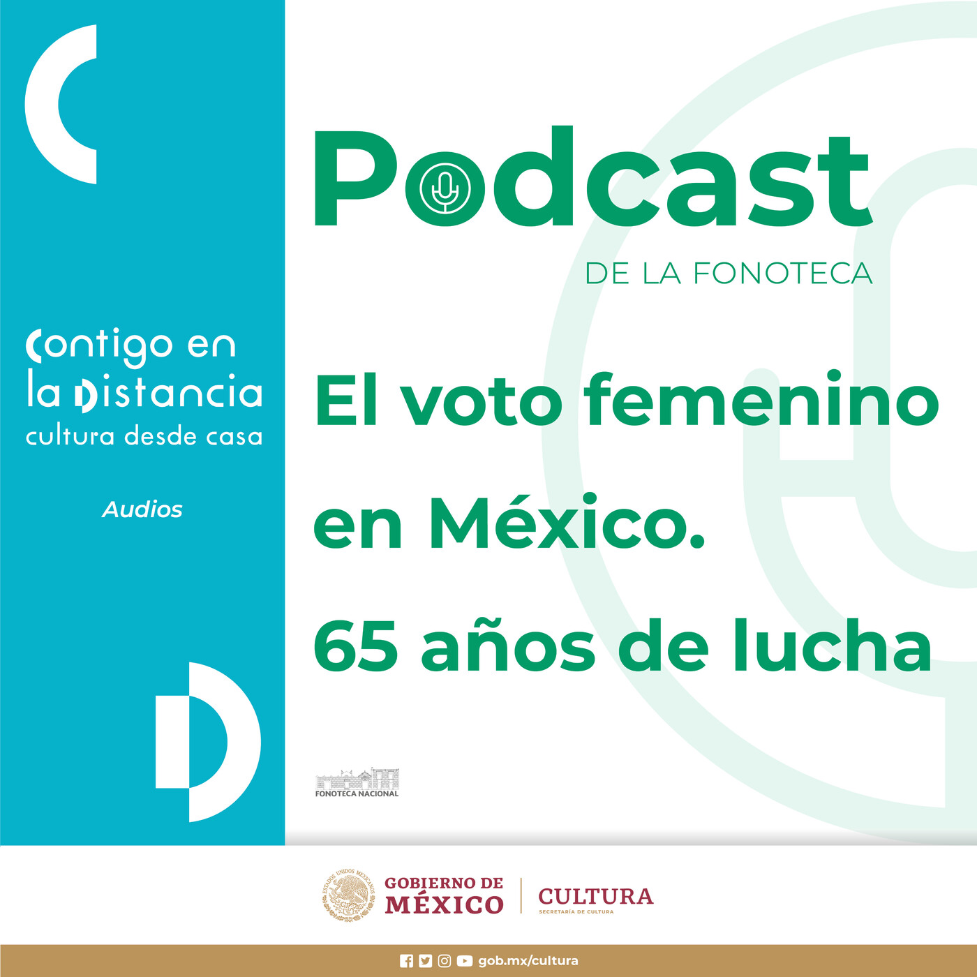 El voto femenino en México. 65 años de lucha