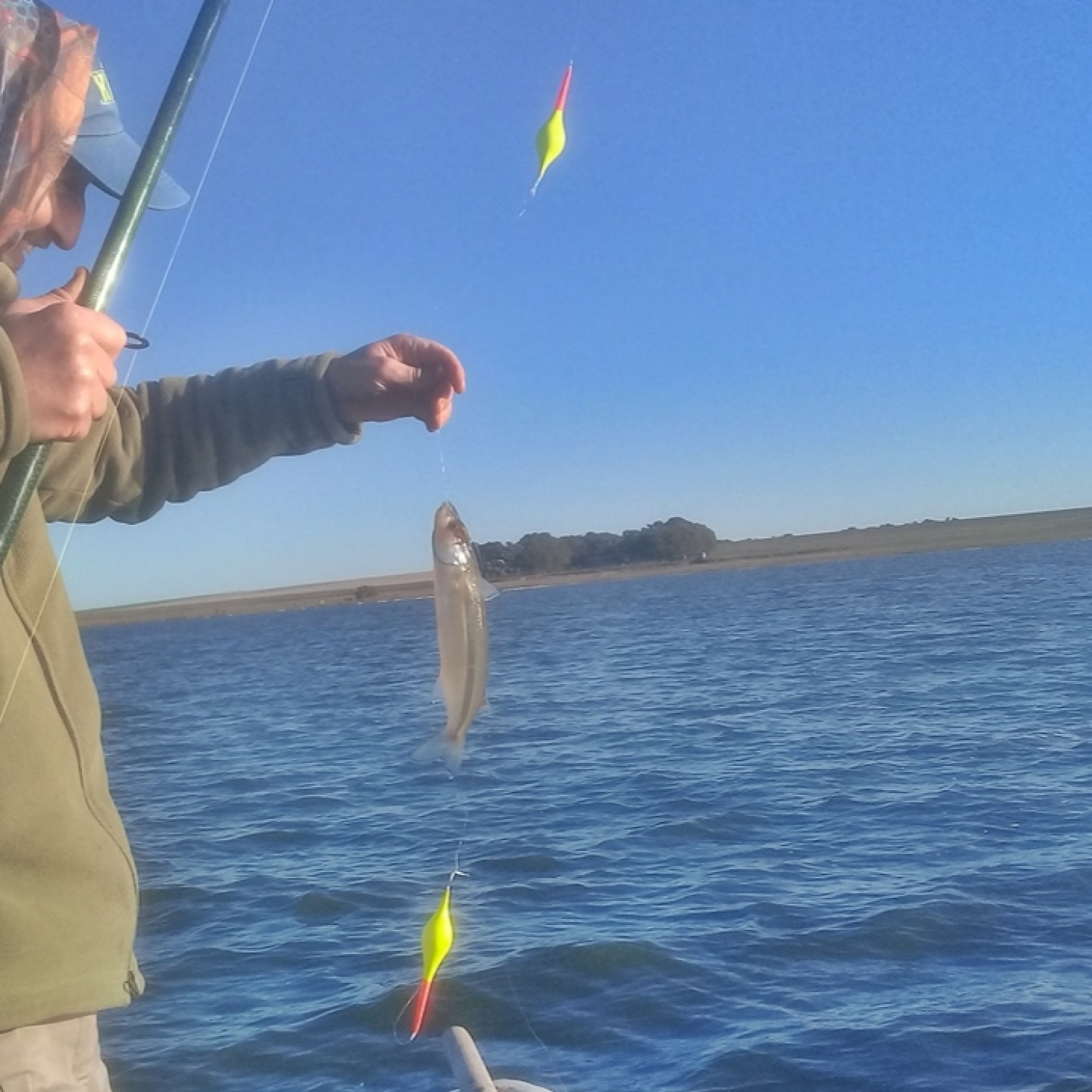 Planeta Pesca