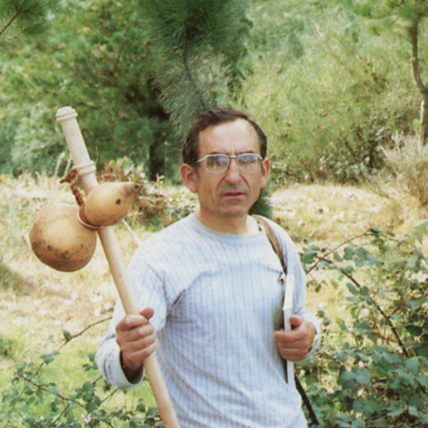 LA FLECHA AMARILLA