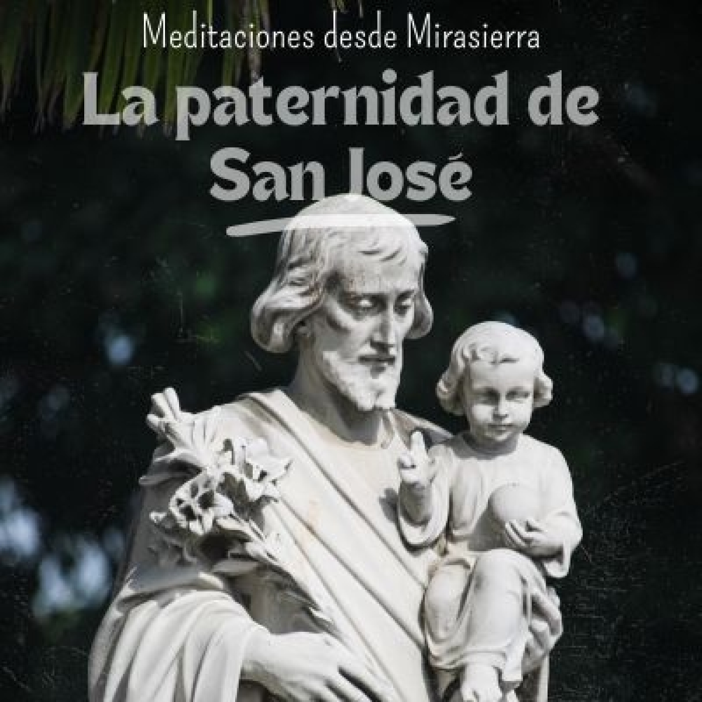 Meditaciones desde Mirasierra