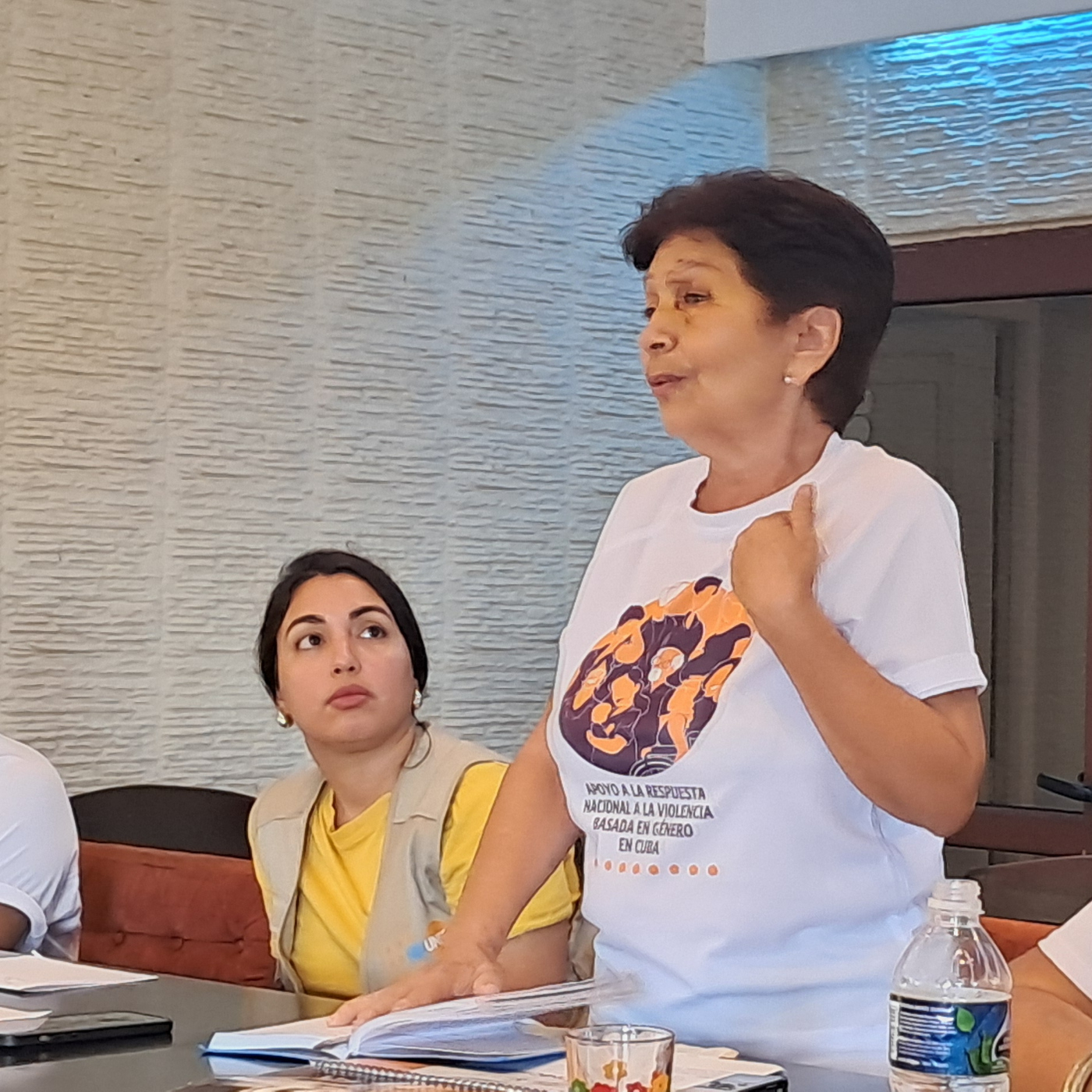 Constituyen en Santa Clara Comité Organizador del Proyecto Apoyo a la Respuesta Nacional a la violencia basada en género