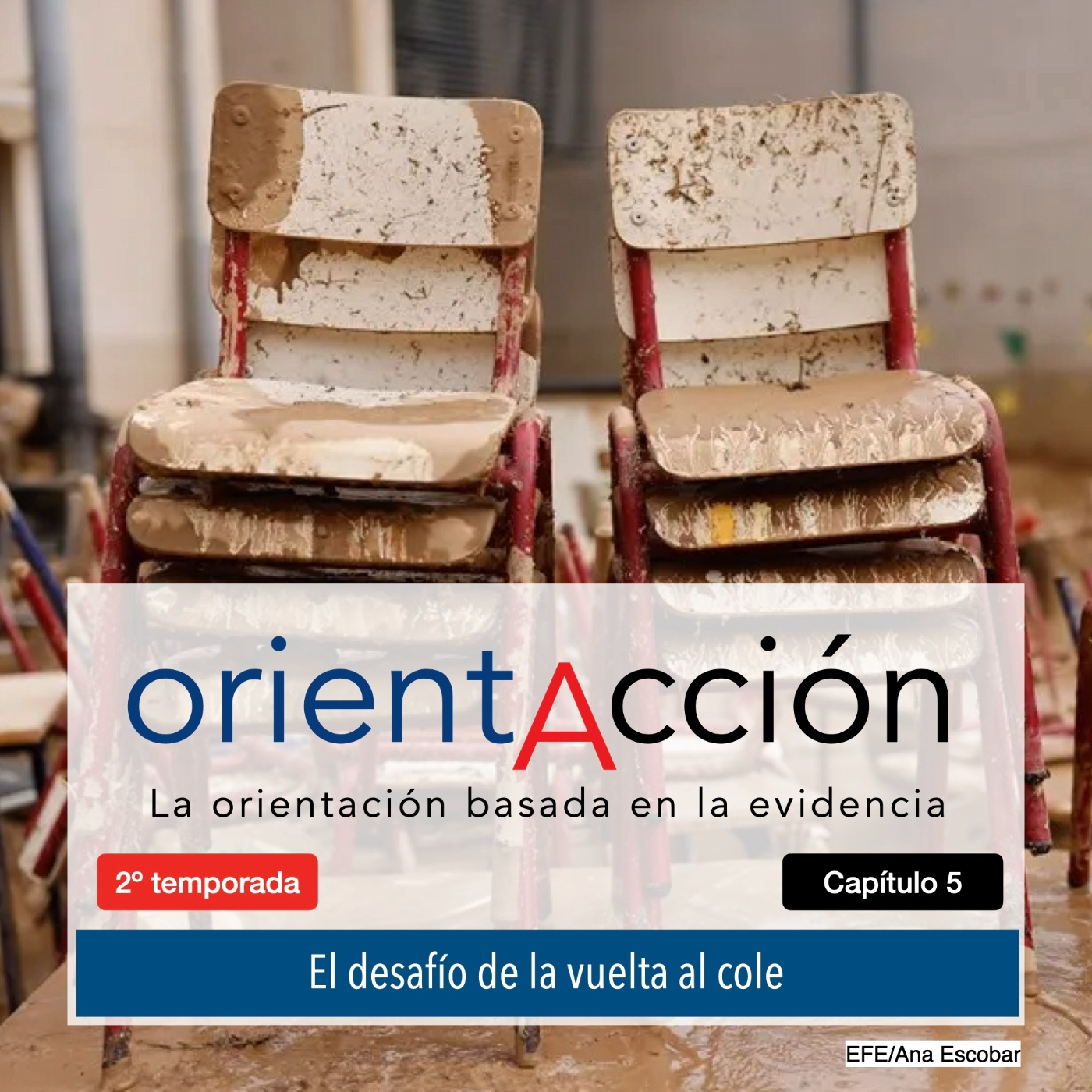 ORIENTACCIÓN. orientación basada en la evidencia