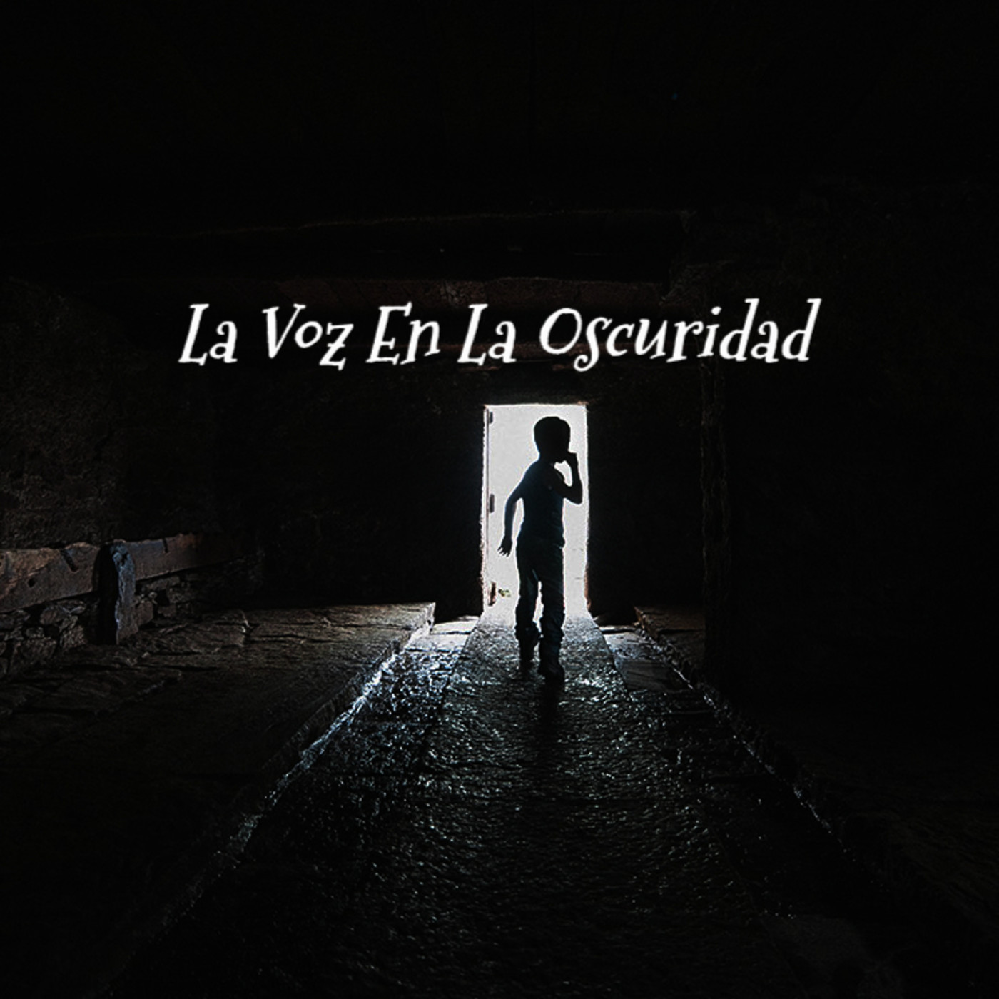 La Voz en la Oscuridad