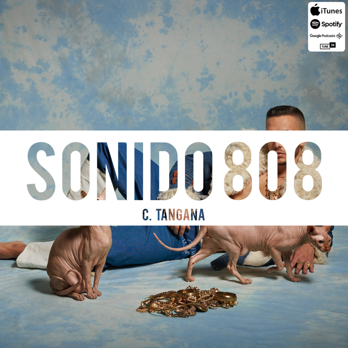 Sonido 808