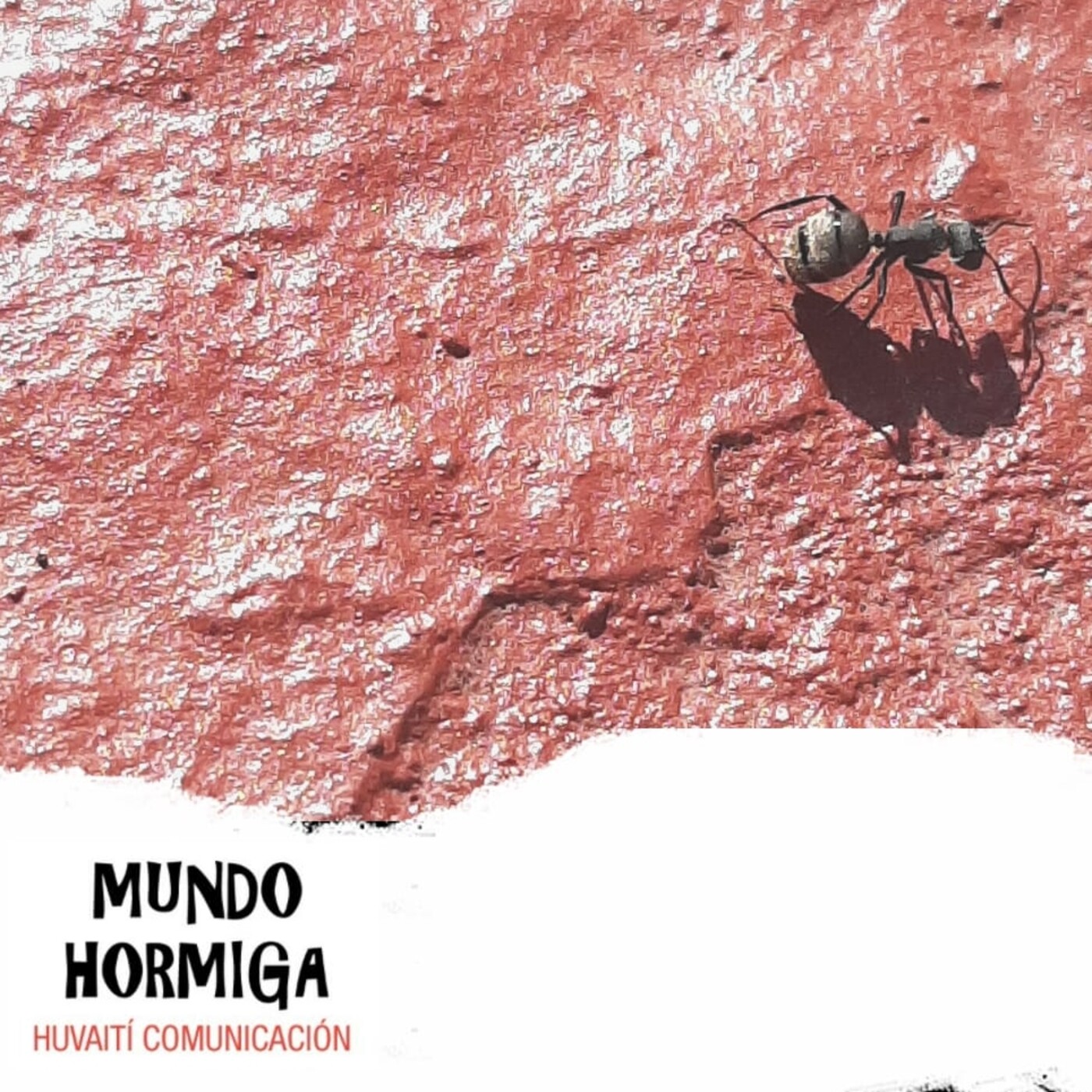 Mundo Hormiga 14 de febrero de 2021 episode artwork