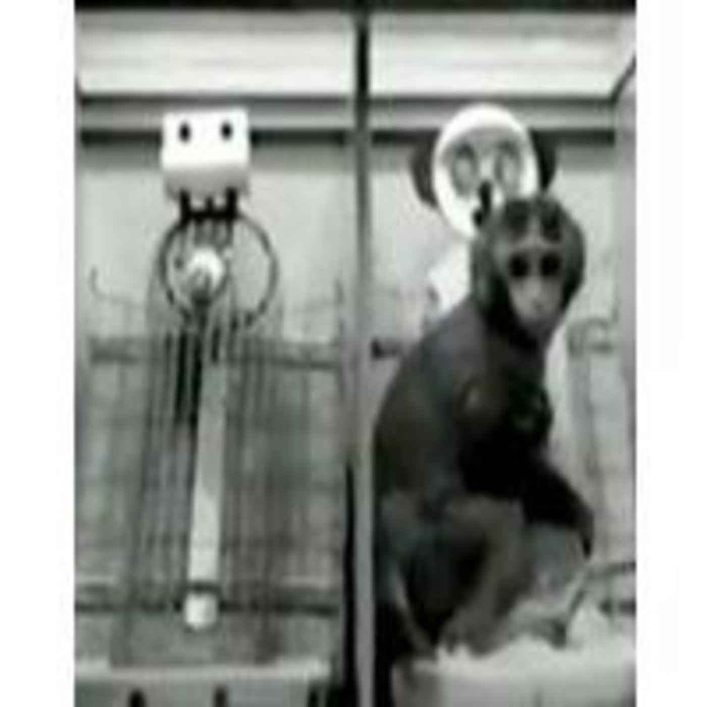 Aprender a gestionar las emociones (Redes #130)