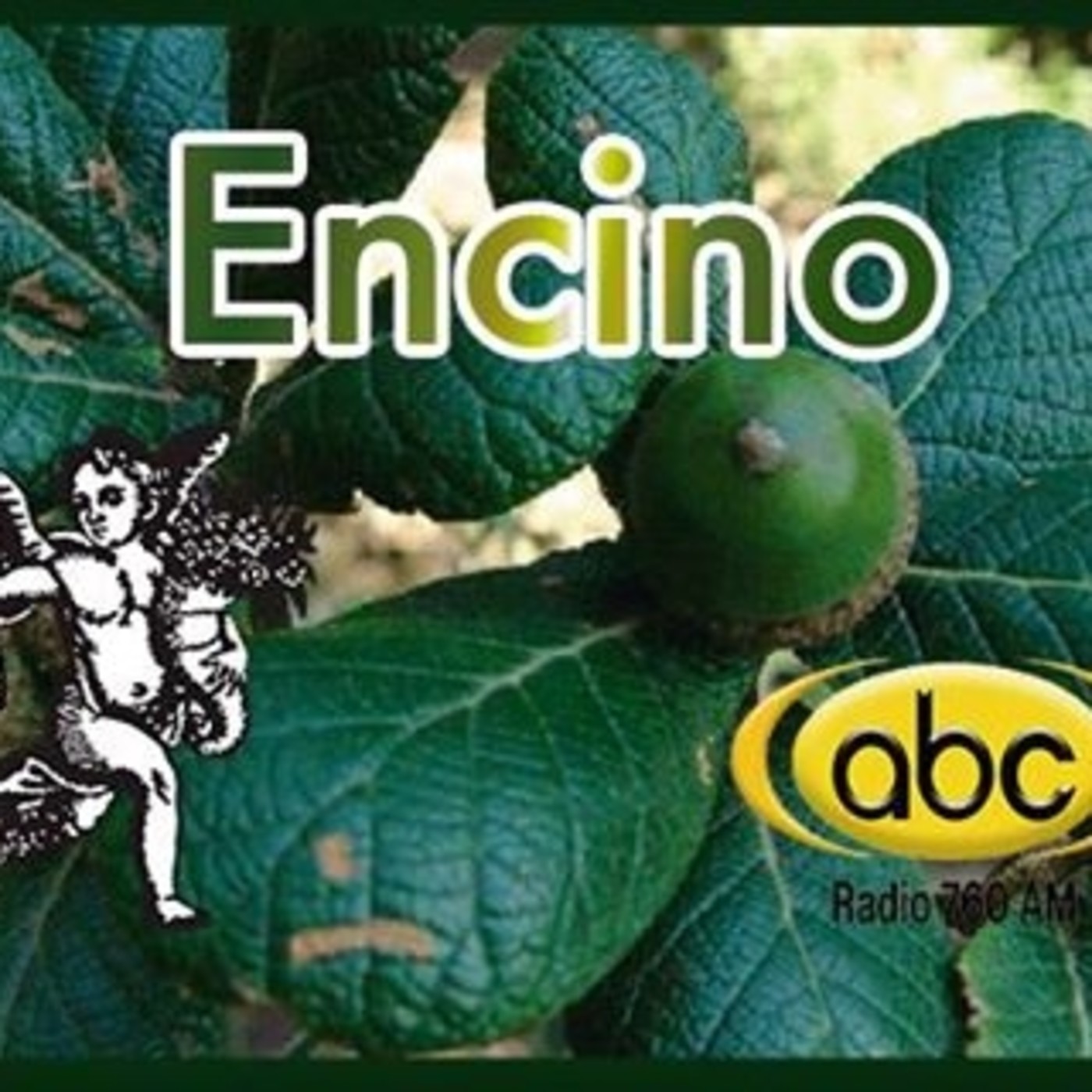 El Ángel de tu salud - ENCINO episode artwork